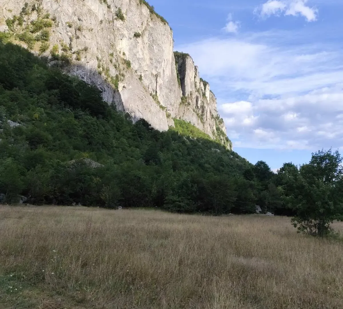 Prodaja, plac, 4700m², Žabljak, Crna Gora