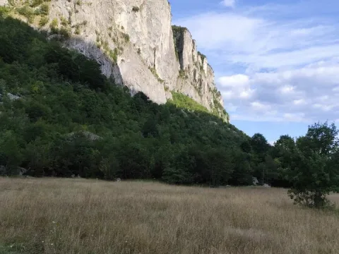 Prodaja, plac, 4700m², Žabljak, Crna Gora - image 6