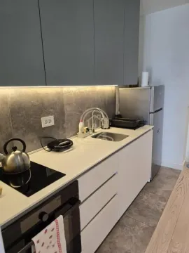 Rent, one bedroom apartment, 40m², Savski Venac, Beograd - image 5