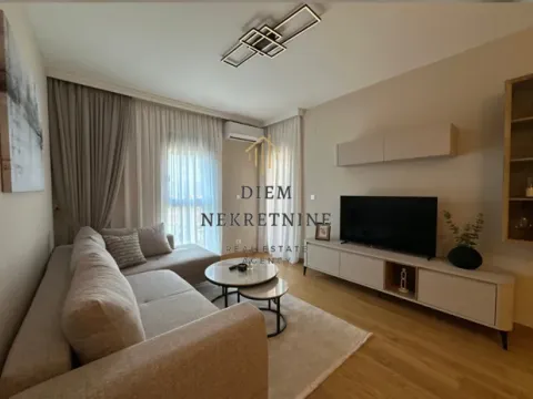 Izdavanje, jednosoban stan, 46m², Centar, Podgorica - image 16