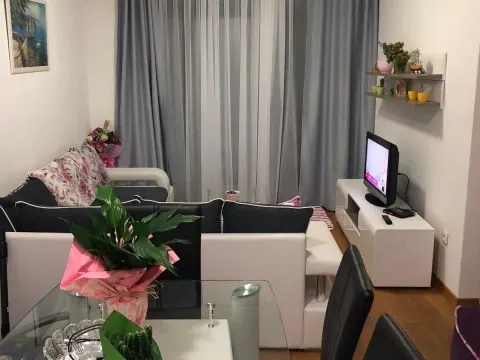 Izdavanje, jednosoban stan, 51m², Budva, Crna Gora - image 3