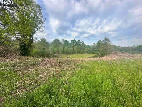 Prodaja, plac, 10860m², Orja Luka, Danilovgrad - image 8