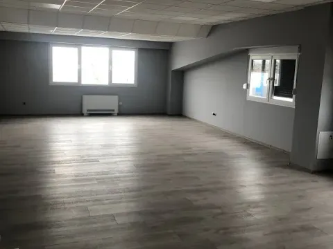 Izdavanje, poslovni prostor, 500m², Zemun Sve Podlokacije, Beograd - image 4