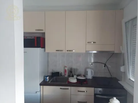 Rent, one bedroom apartment, 48m², Podbara, Novi Sad Sve Podlokacije - image 4