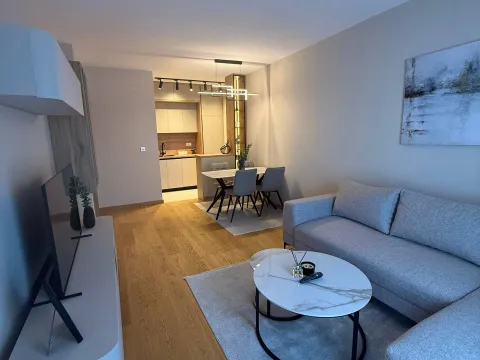 Rent, one bedroom apartment, 46m², City Kvart, Podgorica - image 1