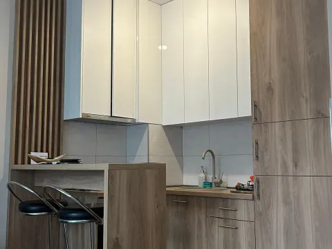 Izdavanje, stan, 30m², Zagorič, Podgorica - image 7