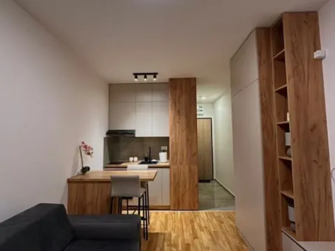 Izdavanje, garsonjera, 24m², Zabjelo, Podgorica - image 3