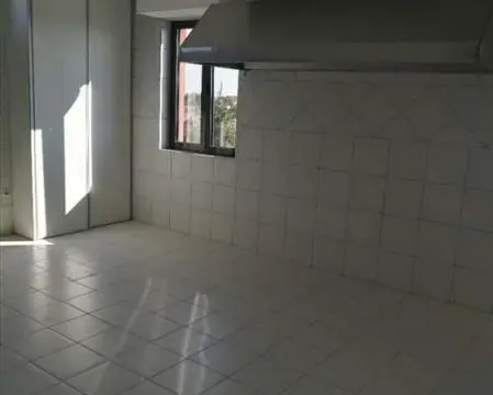 Izdavanje, poslovni prostor, 1200m², Zemun Sve Podlokacije, Beograd - image 5