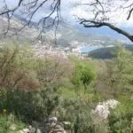 Sale, land lot, 310m², Zagrađe, Bar - image 2