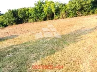 Prodaja, plac, Surčin, Beograd - image 1