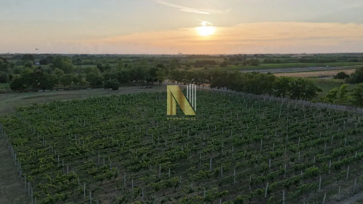 Prodaja, kuća, 230m², Srbobran, Novi Sad