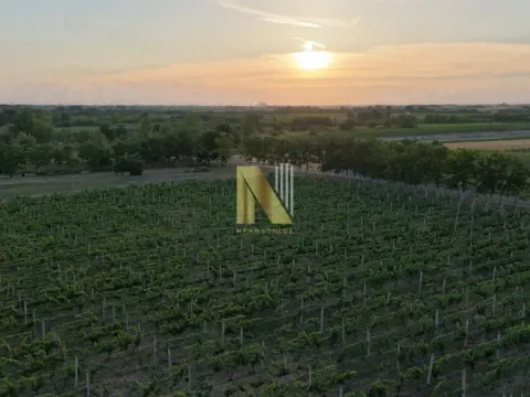 Sale, house, 230m², Srbobran, Novi Sad - image 66