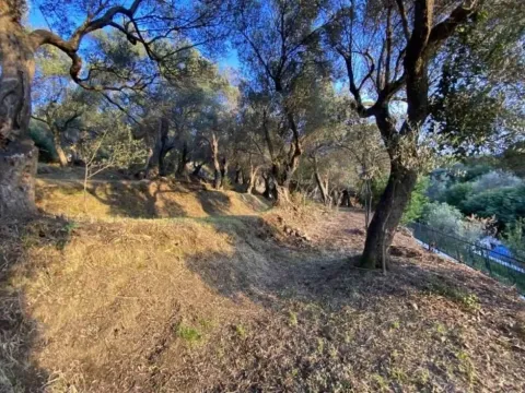 Sale, land lot, 3700m², Zaljevo, Bar - image 3