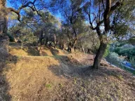 Prodaja, plac, 3700m², Zaljevo, Bar - image 3