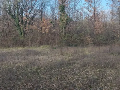 Prodaja, plac, 2400m², Dajbabe, Podgorica - image 4