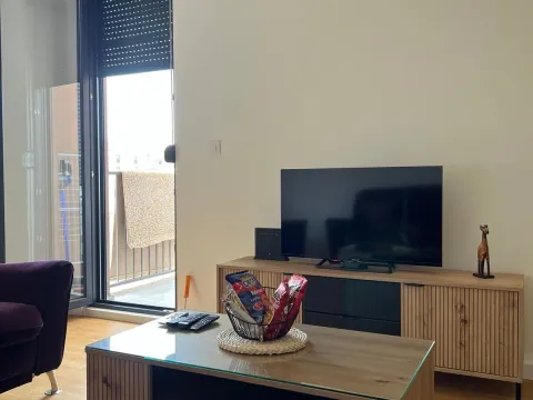 Rent, one bedroom apartment, 45m², Zabjelo, Podgorica - image 3