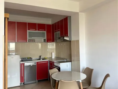 Izdavanje, jednosoban stan, 43m², Preko Morače, Podgorica - image 3