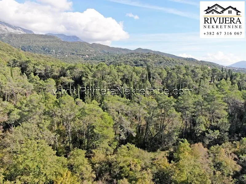 Prodaja, plac, 33385m², Sutorina, Herceg Novi