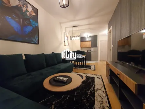 Izdavanje, jednosoban stan, 45m2, Central Point, Podgorica