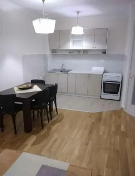 Izdavanje, jednosoban stan, 47m², Ljubović, Podgorica - image 2
