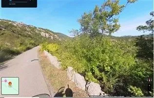 Asfaltni put pored zemljišta okruženog zelenilom.
