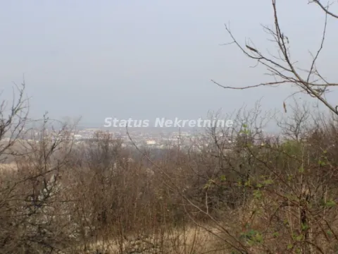 Sale, land lot, 3000m², Ledinci, Petrovaradin - image 12