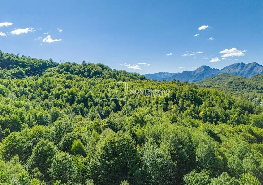 Sale, land lot, 140000m², Crkvine, Kolašin