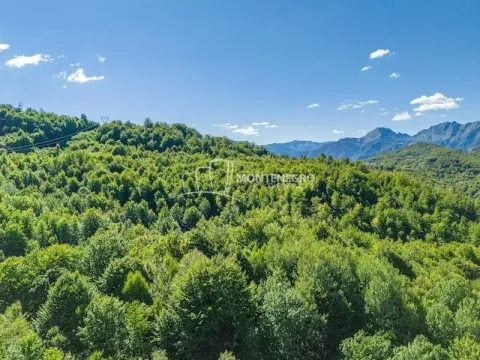 Prodaja, plac, 140000m², Crkvine, Kolašin - image 13