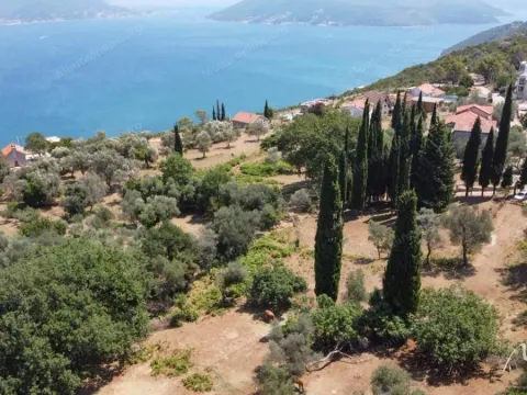 Prodaja, plac, 2391m², Sutorina, Herceg Novi - image 2