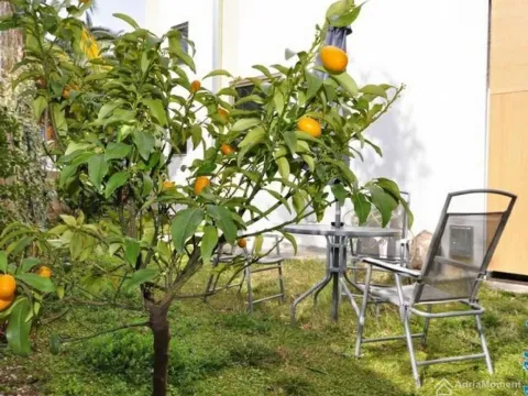 Sale, house, 311m², Bečići, Budva - image 9