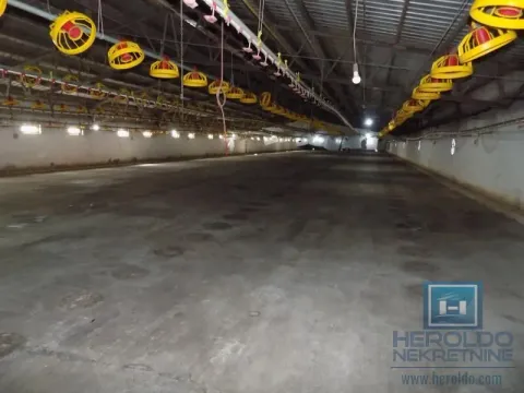 Sale, office space, 16723m², Boljevac, Srbija - image 22