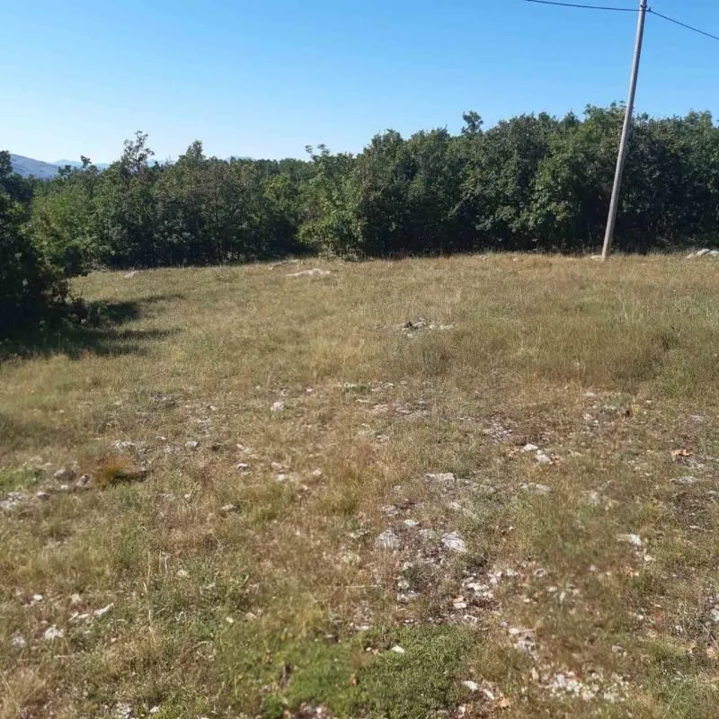 Prodaja, plac, 36000m², Nikšić, Crna Gora