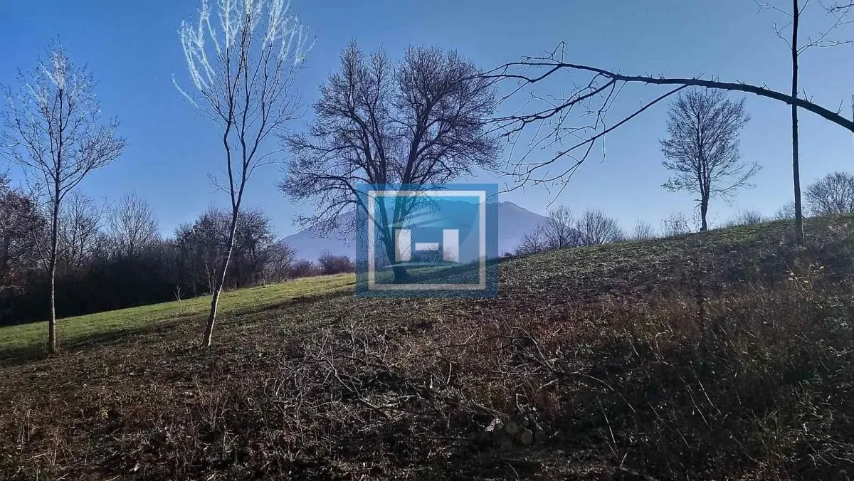 Prodaja, plac, 7500m², Krivi Vir, Boljevac