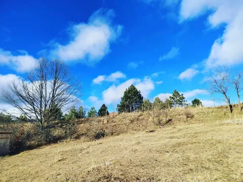 Sale, land lot, 2107m², Tometino Polje, Požega - image 4