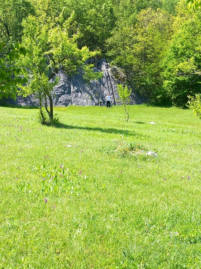 Prodaja, plac, 130000m², Sjenokosi, Nikšić
