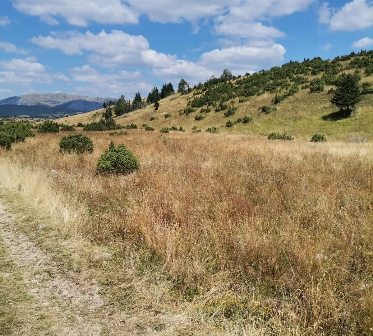 Prodaja, plac, 36000m², Žabljak, Crna Gora