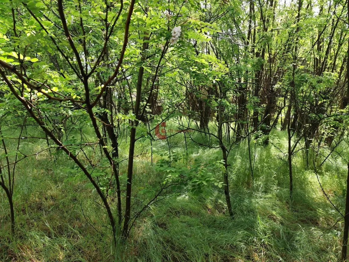 Prodaja, kuća, 50m², Peščara, Subotica