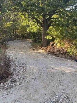 Zemljani put koji vodi kroz šumoviti predeo sa drvećem. - image 8