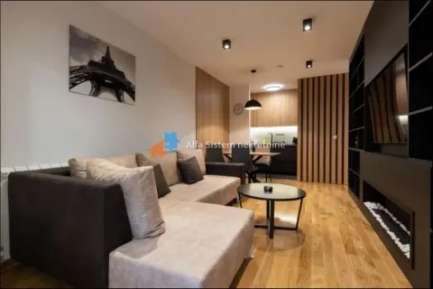 Izdavanje, dvosoban stan, 55m², Vračar Sve Podlokacije, Beograd - image 8