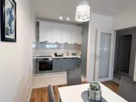 Izdavanje, jednosoban stan, 50m², Central Point, Podgorica - image 4