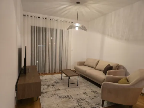 Izdavanje, jednosoban stan, 51m², Dahna, Podgorica - image 5