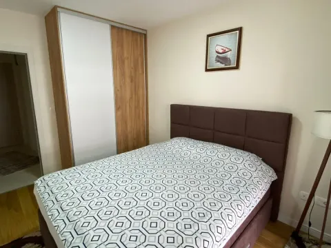 Izdavanje, jednosoban stan, 48m², Central Point, Podgorica - image 6
