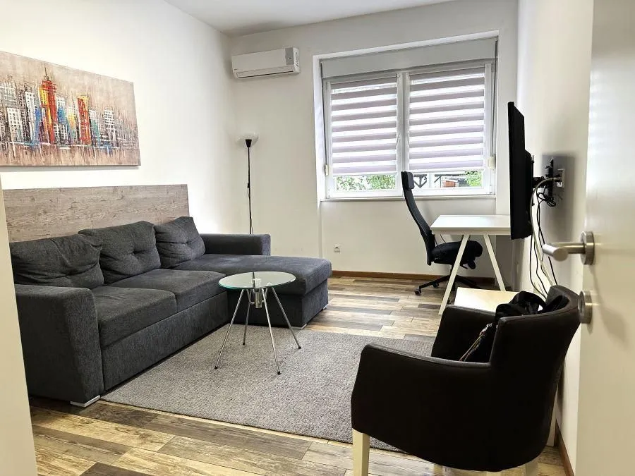Furnished living room with a sofa, desk, and television.
