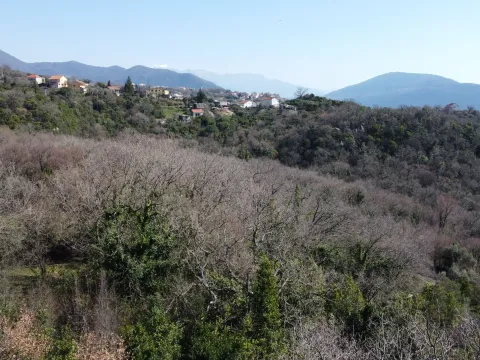 Prodaja, plac, 1250m², Topla, Herceg Novi - image 5