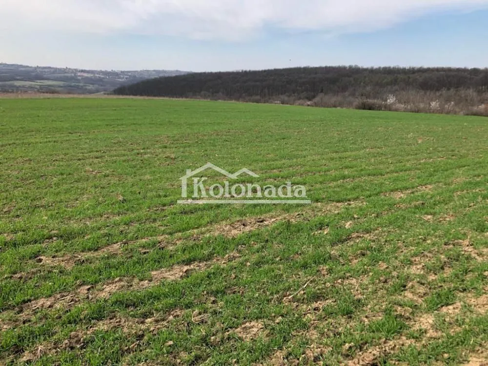 Prodaja, plac, 13000m², Nemenikuće, Sopot