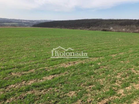 Prodaja, plac, 13000m², Nemenikuće, Sopot - image 9