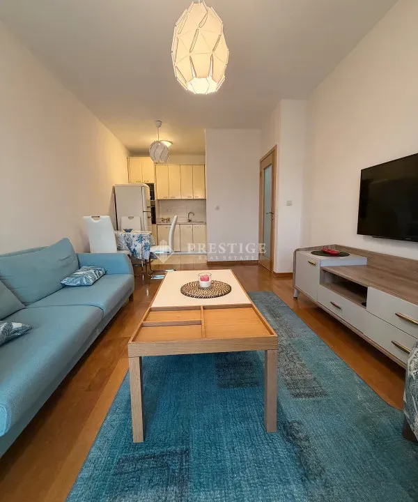 Rent, one bedroom apartment, 47m², Blok 6, Podgorica