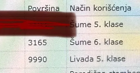 Prodaja, plac, 13155m², Moračko Trebaljevo, Kolašin - image 2