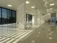 Izdavanje, poslovni prostor, 228m², Altina, Beograd - image 7