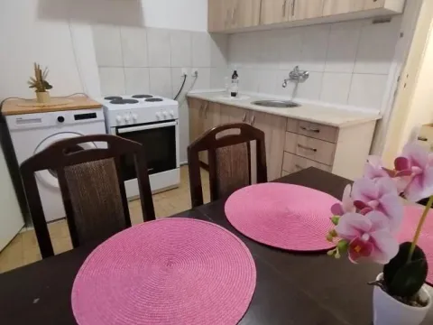 Izdavanje, dvosoban stan, 47m², Detelinara, Novi Sad Sve Podlokacije - image 7